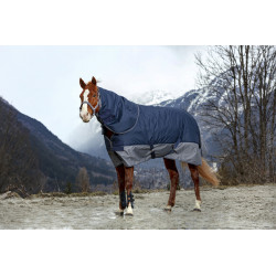 Protection d'épaules avec couvre cou et tête cheval