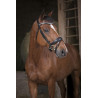 Bridon NORTON PRO "Strass"