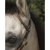 Bridon WESTRIDE by Franck Perret "1 oreille"
