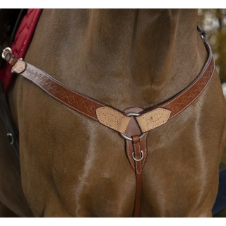 Collier de chasse RANDOL'S "Two Tone"