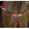 Collier de chasse RANDOL'S "Two Tone"