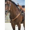 Collier de chasse WESTRIDE by Franck Perret "Aurora"