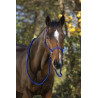 Licol éthologique NORTON avec rênes