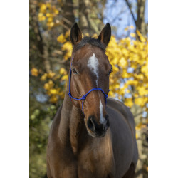 Licol éthologique RIDING WORLD corde "Fin"