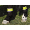 Bandages jaune NORTON pour postérieurs
