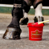 ONGUENT DE LAURIER NOIR POUR L'ENTRETIEN ET LA PROTECTION DES PIEDS DU CHEVAL.