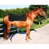 protége dos chauffant cheval