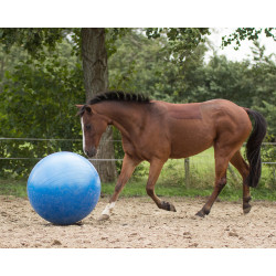 Ballon de jeu pour chevaux