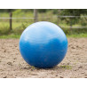 Ballon de jeu pour chevaux