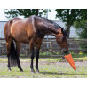 Jouets carotte pour chevaux XL