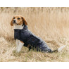 Couverture pour chien "classy "