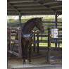 Couverture cheval pour marcheur 0 gr