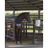 Couverture cheval pour marcheur 200 gr