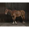 Enrenement Norton extenseur doux