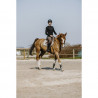 T-Shirt Pro Series " Canter "
