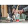 Gel Rafraichissant " Aloe Vera " LEOVET