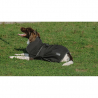 Couverture Pour Chien Softshell