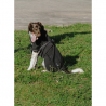 Couverture Pour Chien Softshell