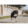 Couverture Pour Chien Softshell
