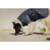 Couverture Pour Chien Tyrex 600D