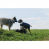 Couverture Pour Chien Tyrex 600D