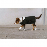 Couverture Pour Chien " Je T'Aime "