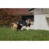 Couverture Pour Chien " Je T'Aime "