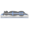 Matelas Memory - Foam