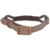 Collier Pour Chien Monté Carlo