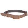 Collier Pour Chien Monté Carlo