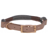 Collier Pour Chien Monté Carlo