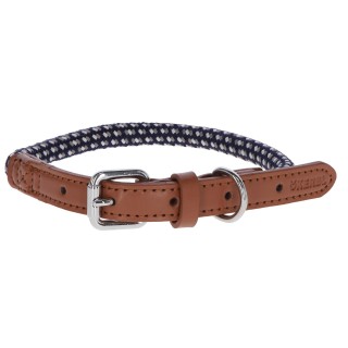 Collier Pour Chien Phoenix