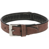 Collier Pour Chien California