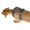 Harnais Pour Chien Pulsive