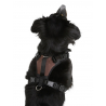 Harnais Pour Chien Pulsive