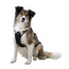 Harnais Pour Chien Pulsive