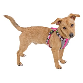 Harnais Pour Petits Chiens