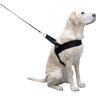 Harnais Pour Chien Miami Plus