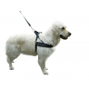 Harnais Pour Chien Miami Plus