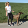 Laisse De Jogging Avec Ceinture