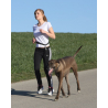 Laisse De Jogging Avec Ceinture