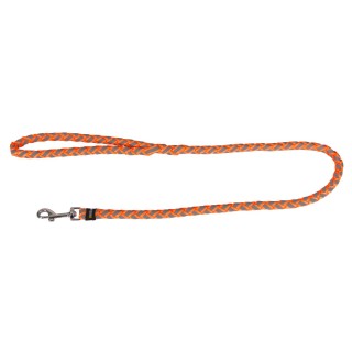 Laisse Pour Chien Maxi Safe