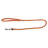 Laisse Pour Chien Maxi Safe