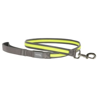 Laisse Lumineuse Pour Chien Light & Reflex
