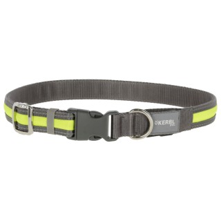 Collier Lumineux Pour Chien Light & Reflex