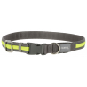 Collier Lumineux Pour Chien Light & Reflex