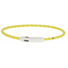 Collier Led Pour Chien Maxi Safe