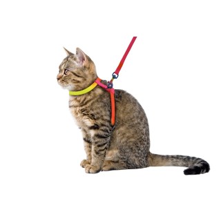 Harnais Pour Chat Rainbow
