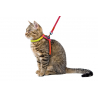 Harnais Pour Chat Rainbow