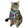 Harnais Pour Chat Active